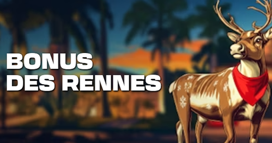 <br />
Bonus Des Rennes pour Noel de Casino Together