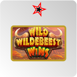 Wild Wildebeest Wins - test et avis