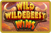 Wild Wildebeest Wins